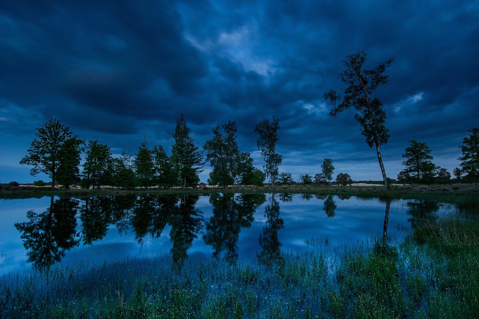 2e plaats vakjury, categorie landschap; Olaf Oudendijk