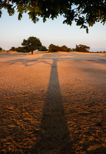 2e plaats publiekjury, categorie landschap; Eric de Vroome