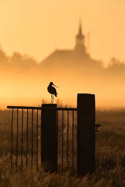 3e plaats publiekjury, categorie landschap; Edwin Rem