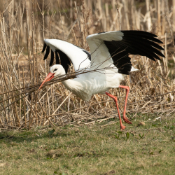 Hans-Oudejans-02