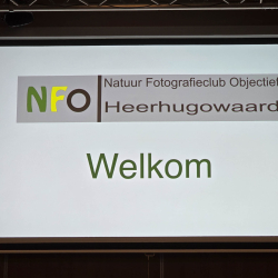 002-20251004-20251004_110958