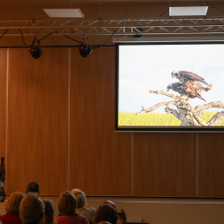 028-20251004-DSC_9216