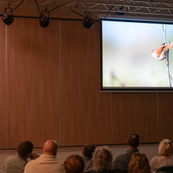 033-20251004-DSC_9284