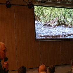 034-20251004-DSC_9289