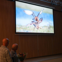 048-20251004-DSC_9527