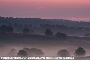 Publieksjury Categorie 'Landschappen' 1e plaats: Fred van den Bosch