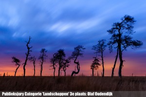 Publieksjury Categorie 'Landschappen' 3e plaats: Olaf Oudendijk