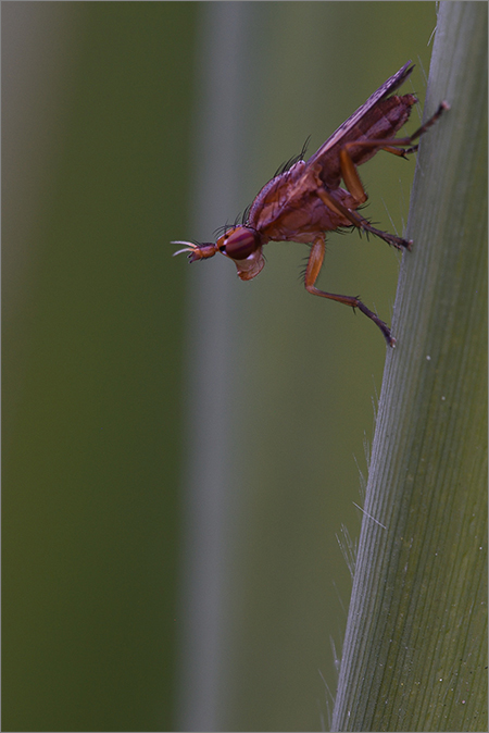 20160524-vrij-wiebebosma-001