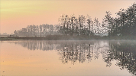 20161122-verplicht-pietoudejans-003