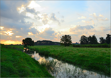 20161122-verplicht-pietoudejans-007