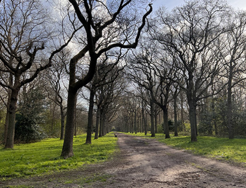 Voorjaarsexcursie 2022