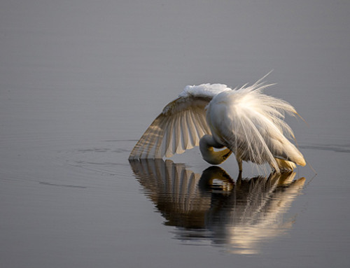 Verslag 28 oktober 2025