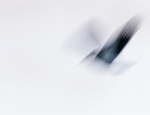 Verslag 25 november 2025