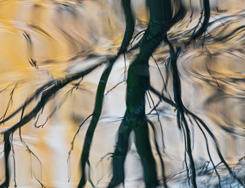 Verslag 24 februari 2026